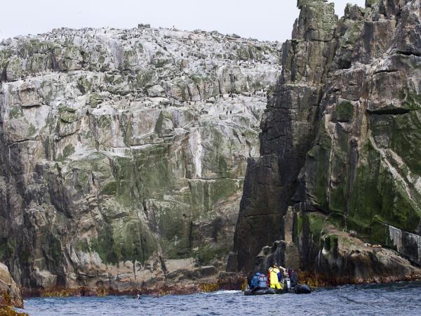New Zealands Subantarctic Islands photography cruise