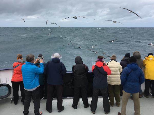 New Zealands Subantarctic Islands photography cruise