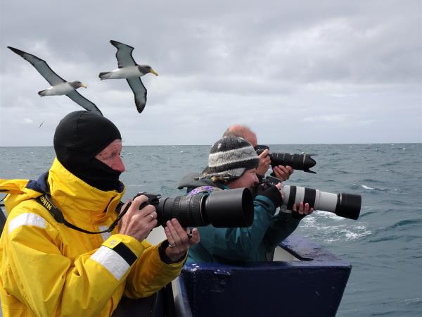 New Zealands Subantarctic Islands photography cruise
