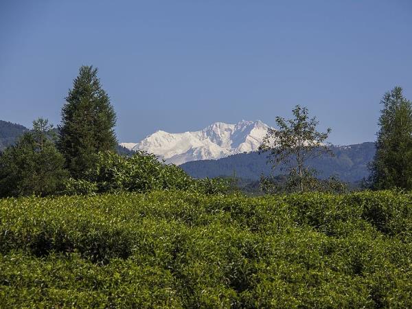 Kanchenjunga base camp trek in Nepal
