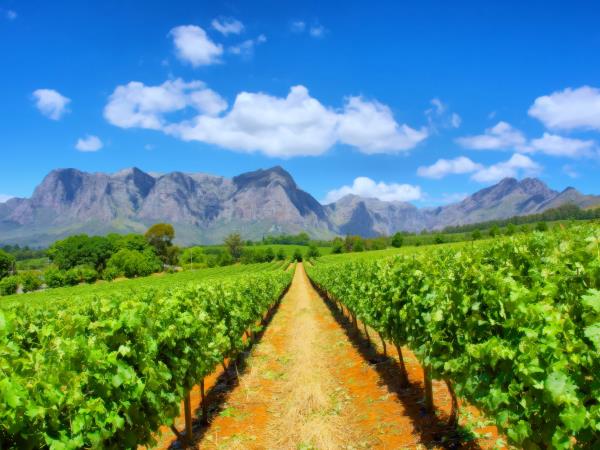 Honeymoon in South Africa