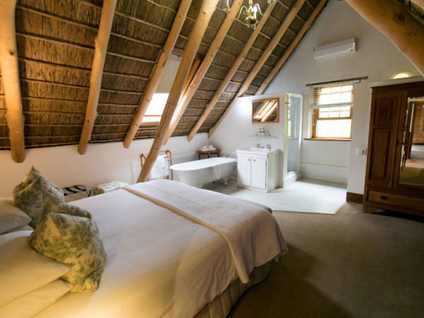 Honeymoon in South Africa