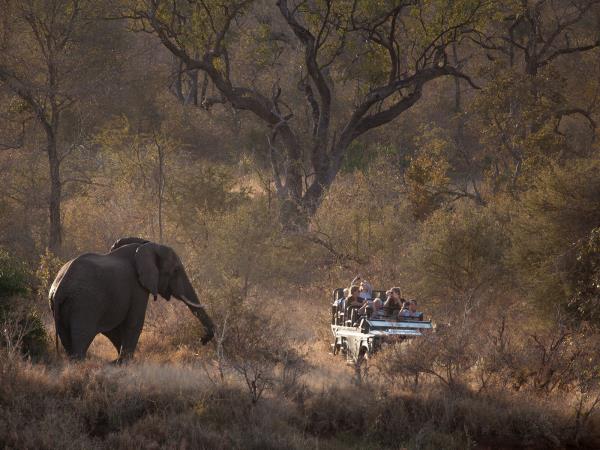 Honeymoon in South Africa
