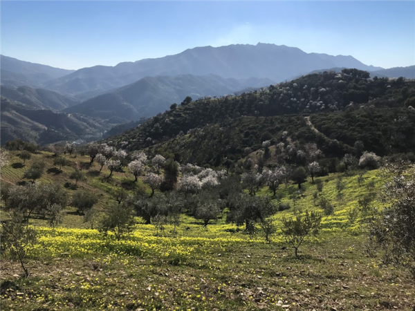 Sierra de las Nieves walking holiday in Spain
