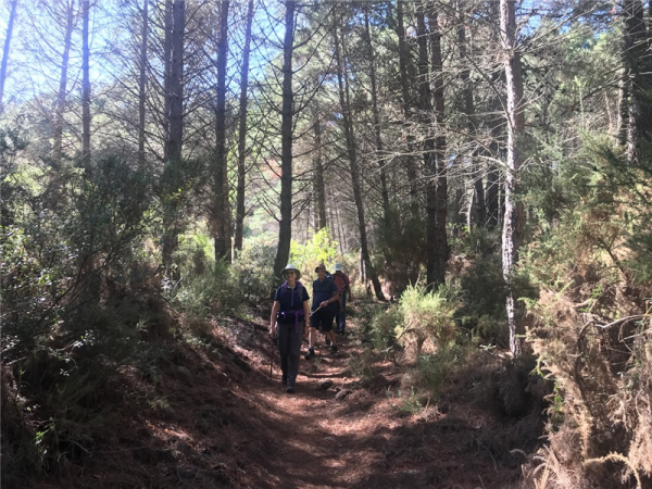 Sierra de las Nieves walking holiday in Spain