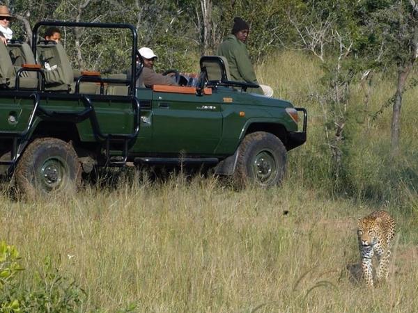 Greater Kruger safari in South Africa