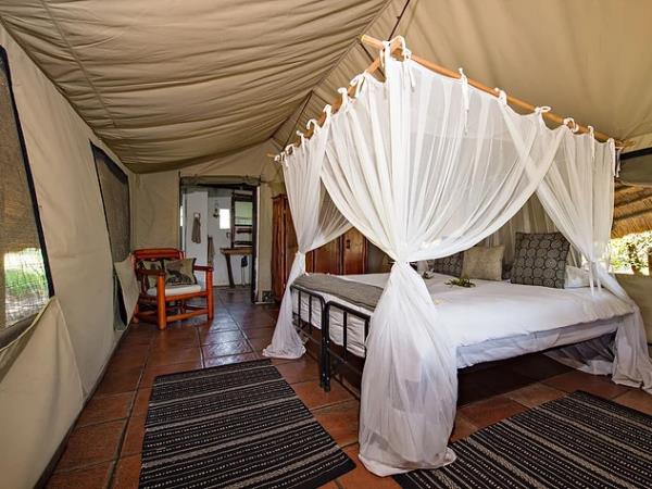 Greater Kruger safari in South Africa