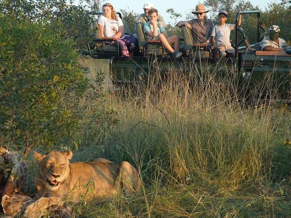 Greater Kruger safari in South Africa