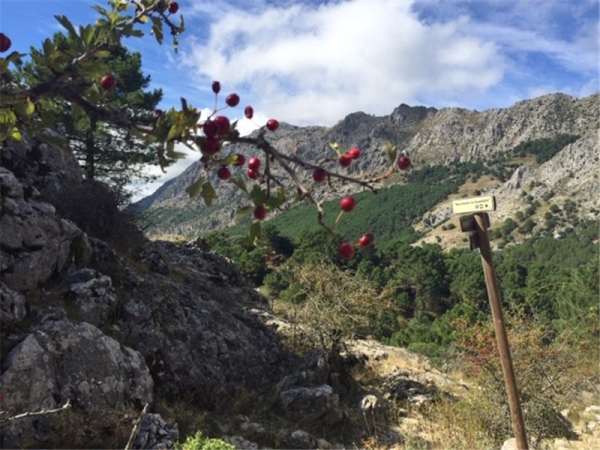 Sierra de Grazalema walking holiday in Spain