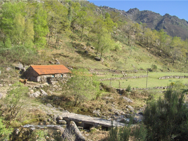 Northern Portugal walking holiday