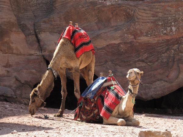 Jordan walking holiday