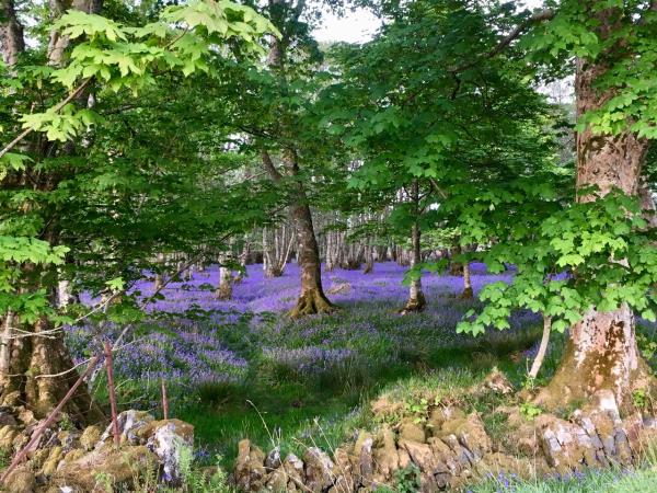 Scotland cooking and cultural holiday