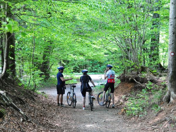 Croatia National parks cycling holiday