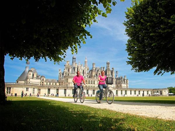 Loire elec sale bike