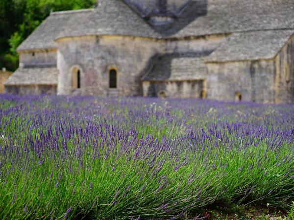 E-bike cycling holiday in Provence