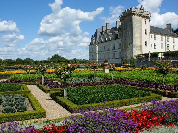 Loire Valley luxury cycling holiday