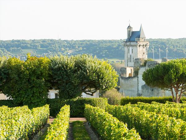 Loire Valley luxury cycling holiday