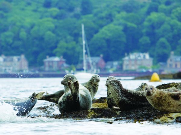 Argyll and Clyde cruise in Scotland