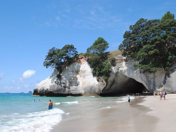 New Zealand tours, North Island