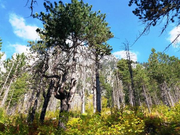 Albanian alps hiking holiday
