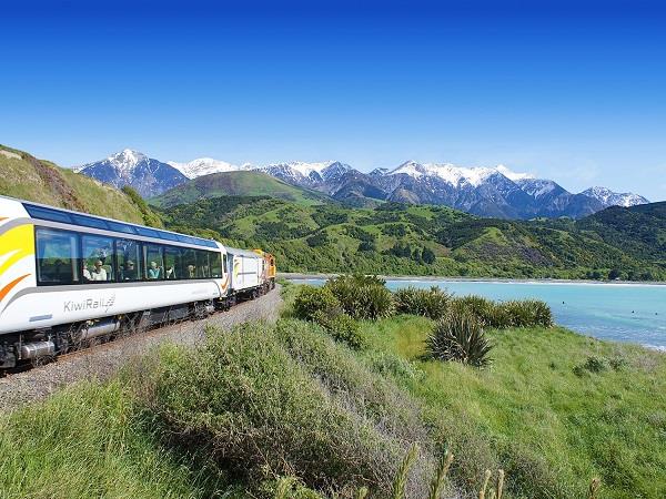 Tailor made tour of New Zealand