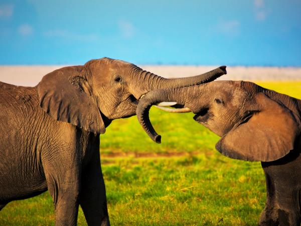 Tanzania adventure holiday