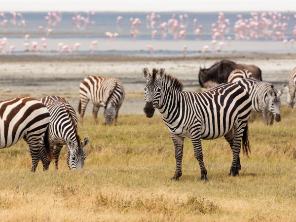 Tanzania adventure holiday