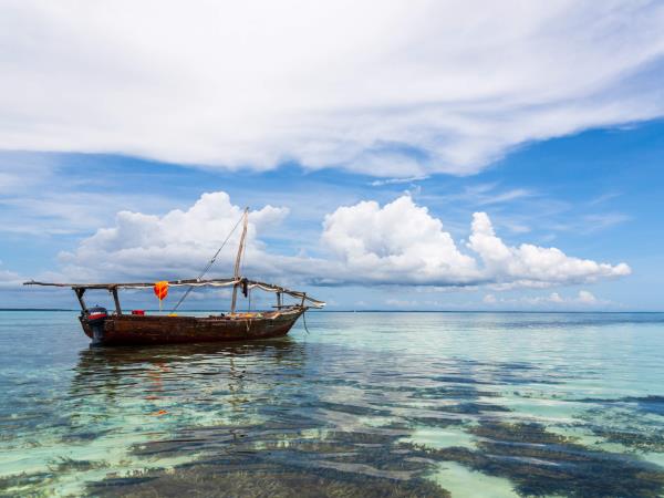 Honeymoon in Tanzania, safari and beach