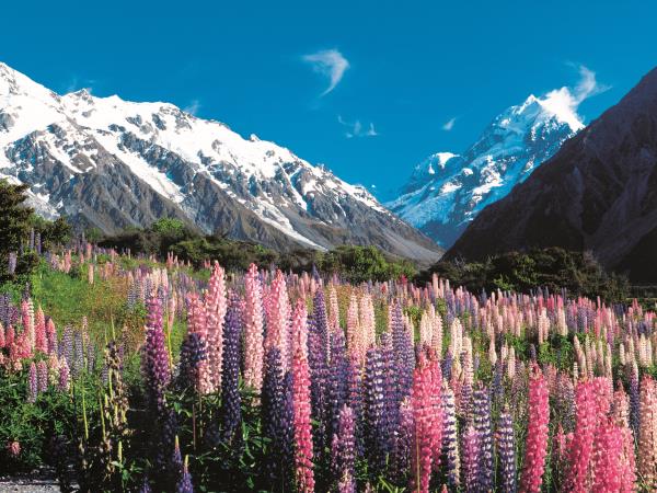 New Zealand two week holiday, South Island
