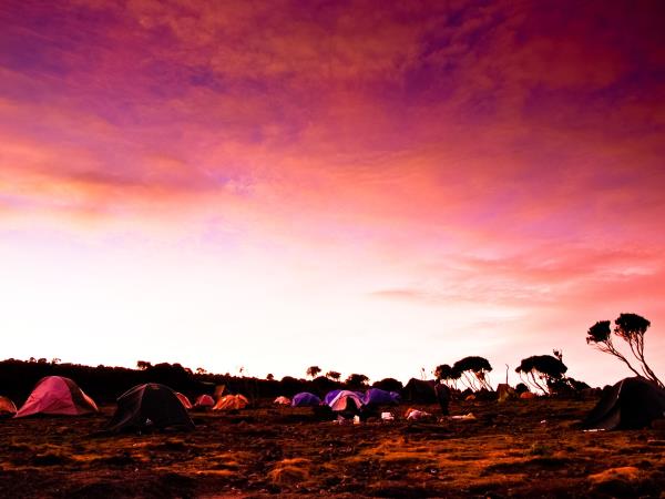 Kilimanjaro Trek, Machame route