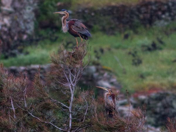 Kythnos nature tours in greece