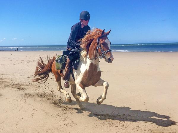 Border to coast horse riding holiday in Wales