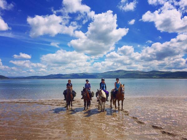 Border to coast horse riding holiday in Wales