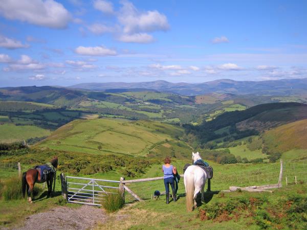 Border to coast horse riding holiday in Wales