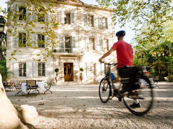 Alpilles cycling holiday in Provence