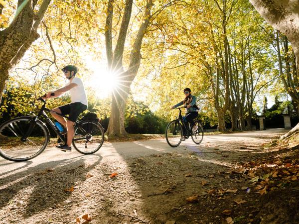 Alpilles cycling holiday in Provence