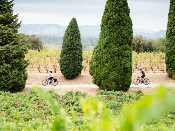 E-bike cycling holiday in Provence