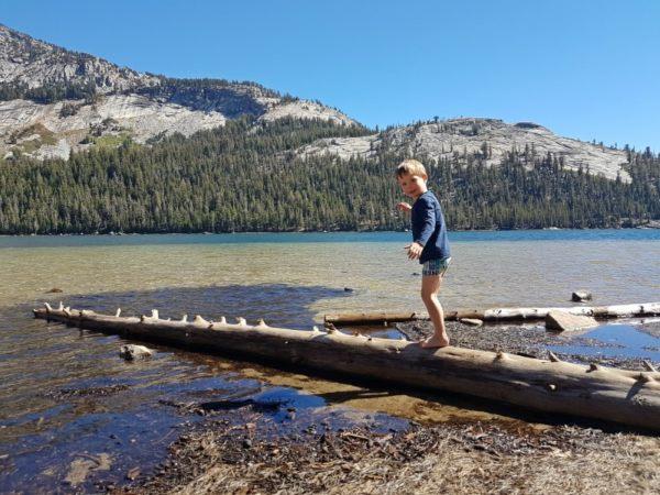 USA self drive family holiday