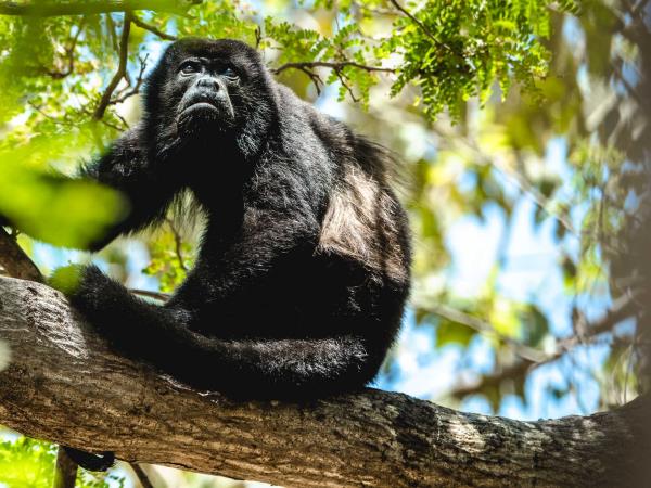 Costa Rica holiday, Rainforest & Restful Retreats