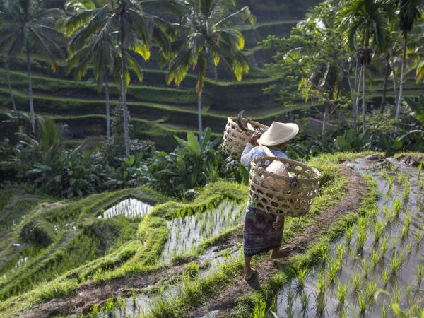 Bali adventure holiday in Indonesia