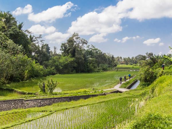 Bali adventure holiday in Indonesia