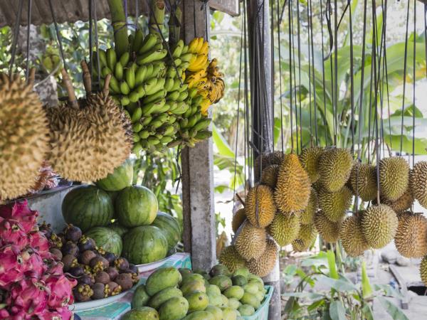 Bali adventure holiday in Indonesia