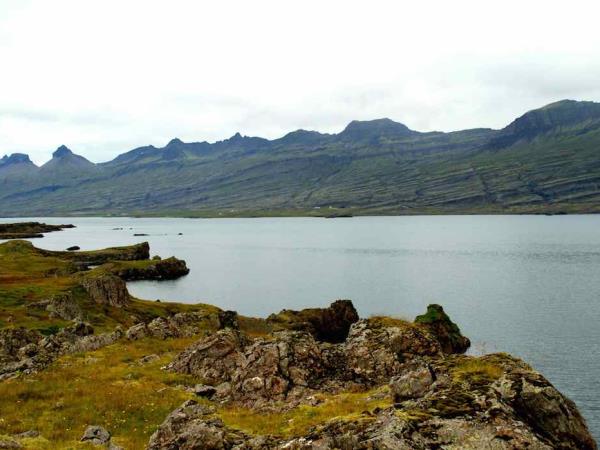 Iceland whale-watching experience
