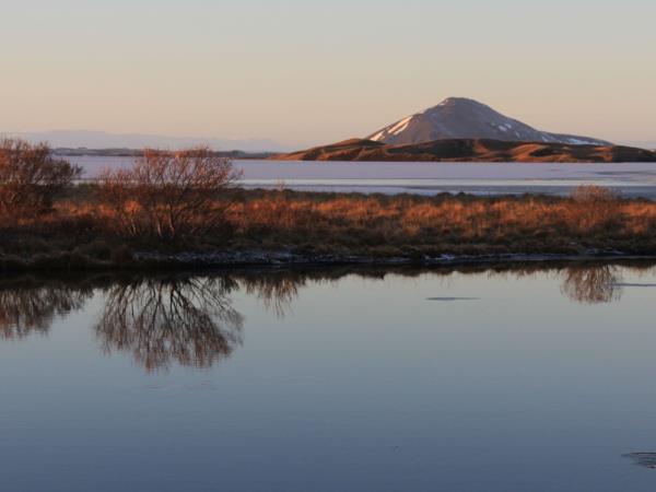 Iceland whale-watching experience