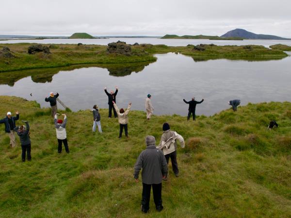 Iceland whale-watching experience