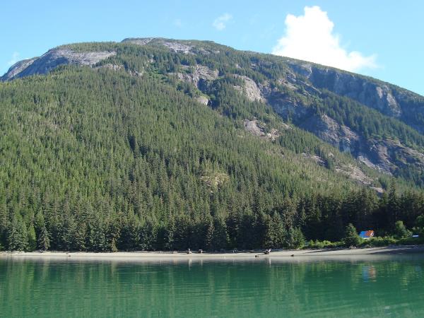 British Columbia Autumn wildlife tour