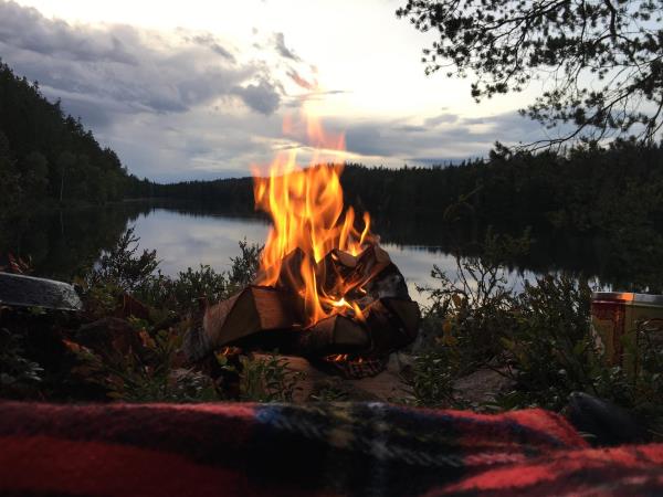 Sweden rewilding and yoga holiday