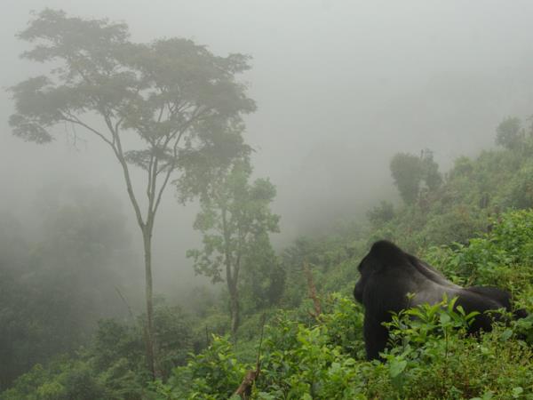 Privately guided Uganda holiday