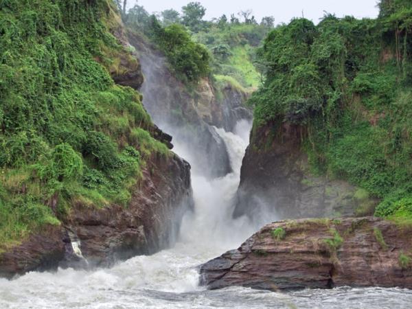 Uganda gorilla safari and Murchison Falls holiday