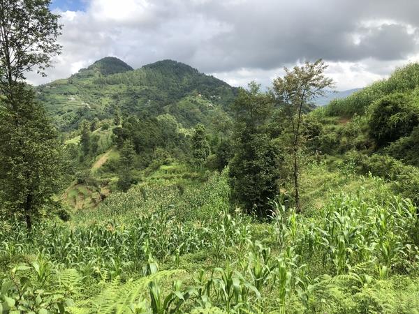Nepal history tour, tailor made